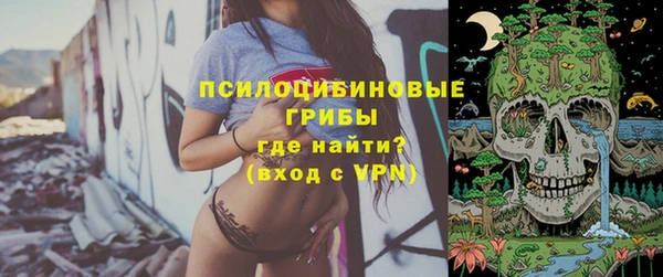 а пвп мука Алзамай